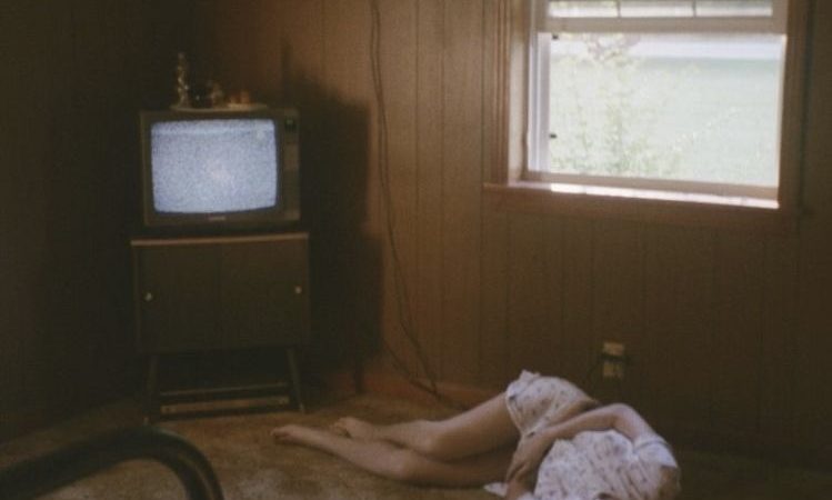 Una raza rara que no hace ruido