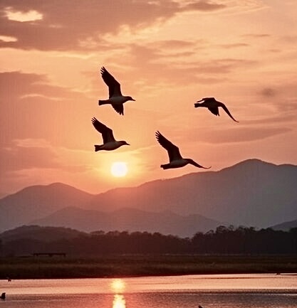 El mapa del silencio